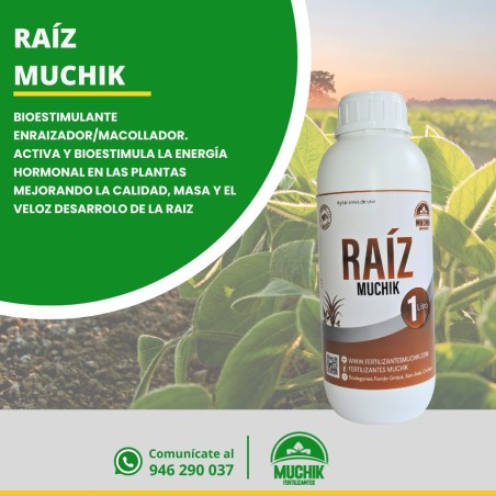 Raíz Muchik bioestimulante enraizante