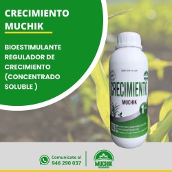 Crecimiento Muchik