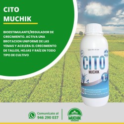 Cito Muchik