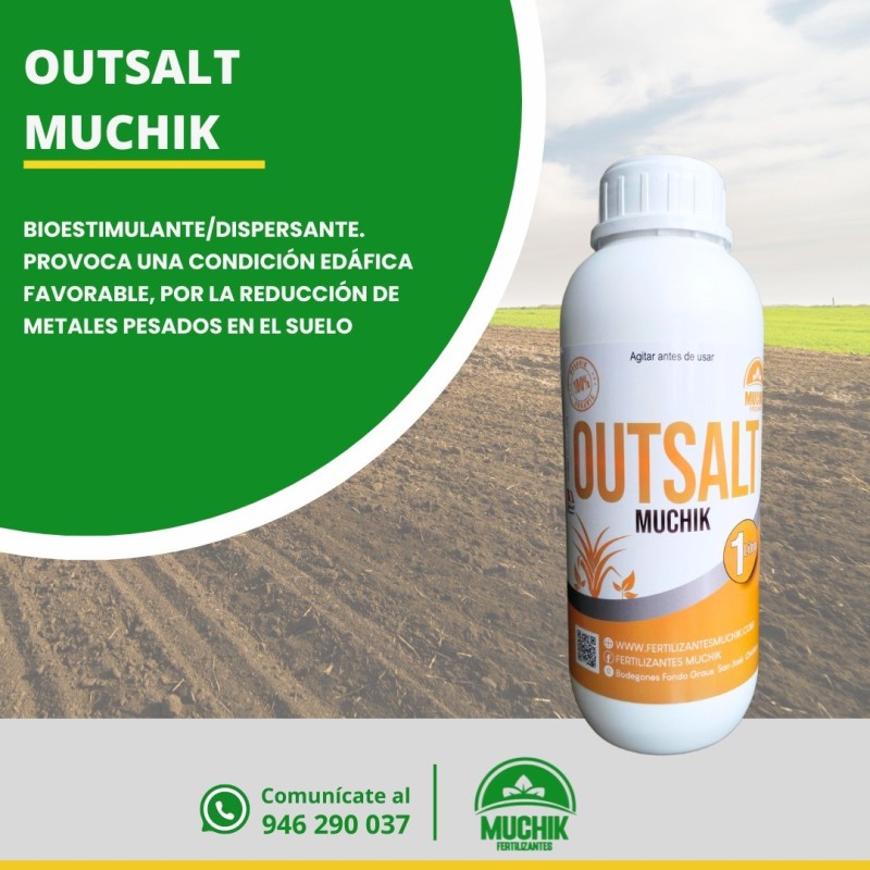 Outsalt Muchik